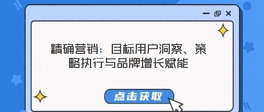 精確營銷：目標(biāo)用戶洞察、策略執(zhí)行與品牌增長賦能